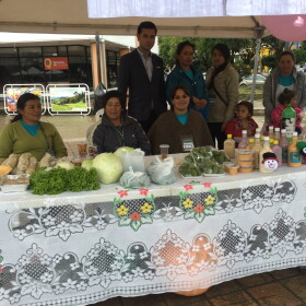 Sbajon mercado verde y mute